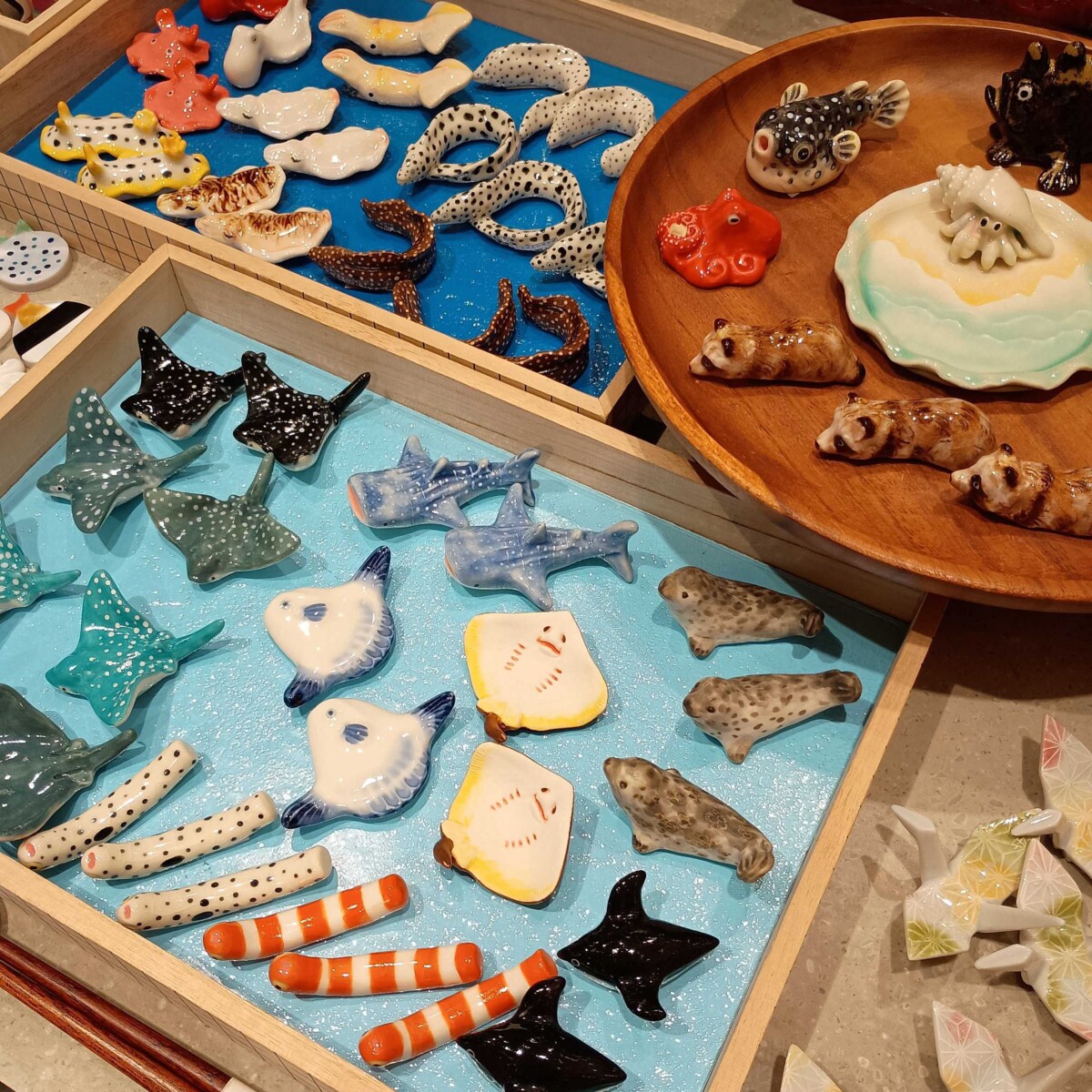 IMG_20250826_142327576-1.jpg IMG_20250826_142327576-1.jpg