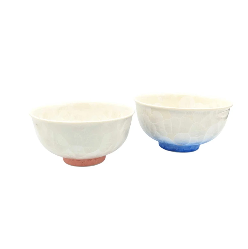 京焼　花結晶(白地青赤)組飯碗
